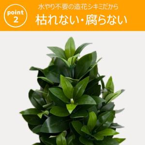創価学会 しきみ 造花 仏壇 造花しきみ SS...の詳細画像3