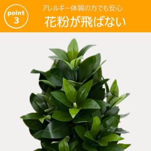 創価学会 しきみ 造花 仏壇 造花しきみ S ...の詳細画像3