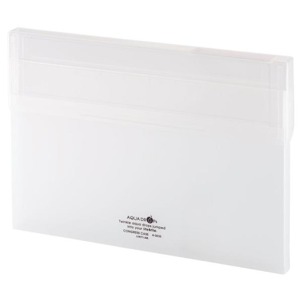 リヒトラブ コングレスケース 書類 ファイルケース A4 薄型 乳白 A5035-1