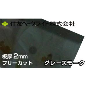 住友 ポリカーボネート板 2mm グレースモーク 4,970円/1平米 ECA943UU ポリカーボ...