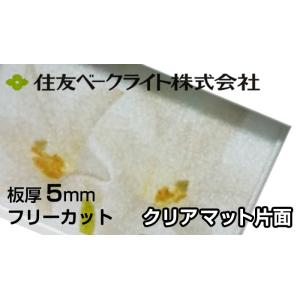 住友 ポリカーボネート板 5mm クリアマット片面 11,650円/1平米 ECK100SUU ポリカ タキロン AGC 同等 ポリカエース 両面耐候 住友ベークライト