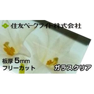 住友 ポリカーボネート板 5mm ガラスクリア 12,130円/1平米 ECK2309UU 最大12...