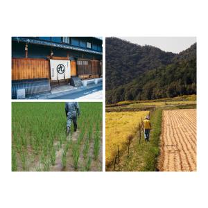 萬乗醸造 醸し人九平次 ラ・メゾン 山田錦 7...の詳細画像2