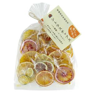 げんき本舗 シトラスチップス 50gの商品画像