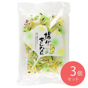 味楽乃里 揚げぎんなん 100g×3個