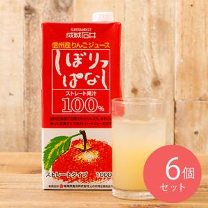 青森 りんごジュース 100%ストレート果汁 1000g×6本セット 林檎園 国産