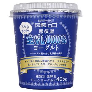 よつ葉 北海道十勝生乳100とろっとなめらかヨーグルト 400g×6個 よつ葉 北海道十勝生乳100とろっとなめらかヨーグルト 400g×6個