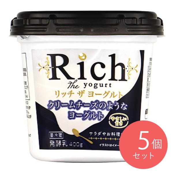 共進 リッチザヨーグルト 400g×5個
