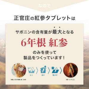 【正官庄 日本公式】紅参タブレット 240粒 ...の詳細画像4