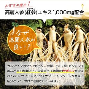 【正官庄 日本公式】紅参精エブリタイムグレープ...の詳細画像4