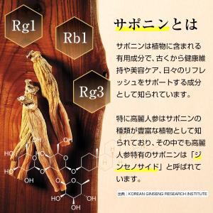 【正官庄 日本公式】紅参精エブリタイムグレープ...の詳細画像5