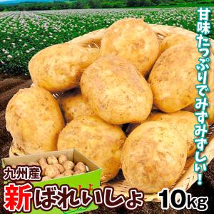 じゃがいも 10kg 新ばれいしょ 九州産 ご家庭用 新じゃが