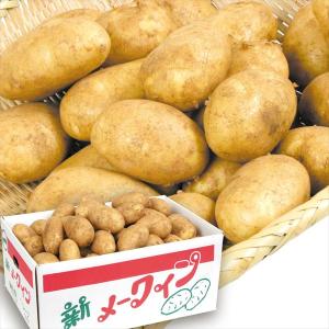 じゃがいも 10kg メークイン 北海道産 送料無料 食品｜seikaokoku
