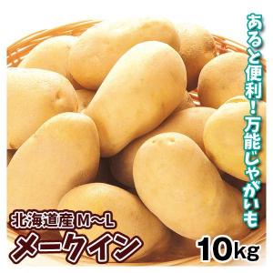 長崎県産 メークインじゃがいも 10kg 北海道 じゃがいも メークイン 10kg 北海道産 十勝産 ジャガイモ