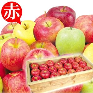 食品 青森産 お買得 おまかせ赤りんご 約20kg 木箱 1組 りんご 国華園