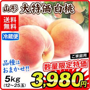 桃 大特価 山形の桃・白桃（約5kg）12〜25玉 冷蔵 ご家庭用 品種おまかせ もも ピーチ フルーツ 国華園