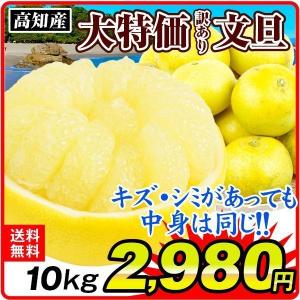 みかん 大特価 高知産 文旦 (10kg) 徳用 ご家庭用 ぶんたん 柑橘 食品 国華園