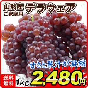 ぶどう デラウェア約1kgお買得 山形産 ご家庭用 葡萄 ブドウ 国華園