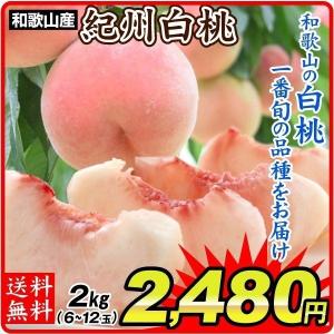 桃 和歌山産 紀州白桃（2kg）6〜12玉 ご家庭用 品種おまかせ もも ピーチ フルーツ 国華園