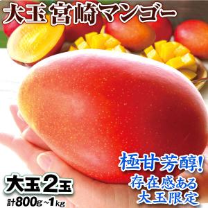 宮崎ミニマンゴー” 1pc 5〜10玉入り 約400g 宮崎マンゴー パック入り