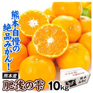 みかん 10kg 肥後の雫 ご家庭用 熊本産 送料無料 食品 : 花と緑 国華園