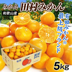 佐賀県産 ハウスみかん （温室みかん） 4〜5玉入り （パック） : 生鮮