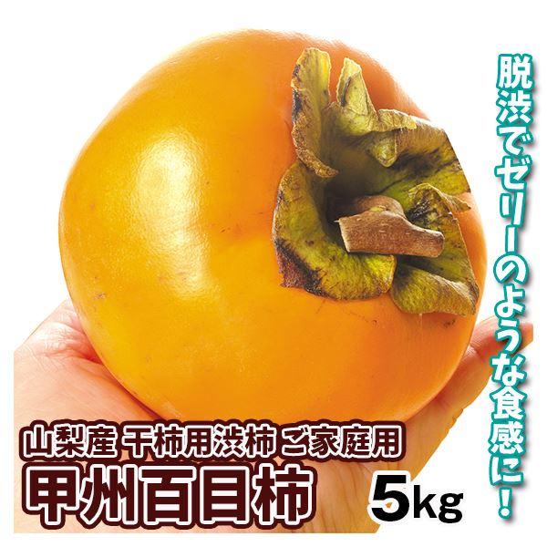 柿 5kg 甲州百目柿 【干柿用渋柿】 山梨産 送料無料 食品
