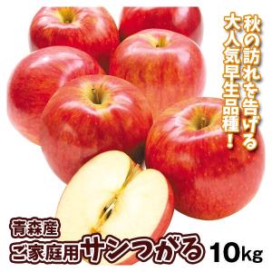 りんご 10kg サンつがる ご家庭用 青森産 送料無料 食品