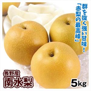 梨 5kg 南水梨 長野産 ご家庭用 送料無料 食品