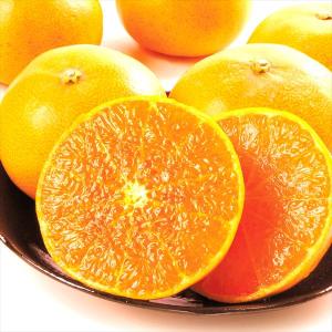 みかん 5kg 佐賀・唐津産 大玉せとか 送料無料 食品