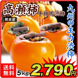 柿 5kg 熊本産 高瀬柿・渋柿 1組 軸つき たかせ かき 葉隠柿 フルーツ 国華園