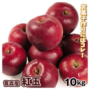 りんご 10kg 紅玉 青森産 ご家庭用 送料無料 食品