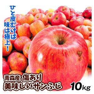 りんご 10kg 王林 ご家庭用 青森産 送料無料 食品 : 食みらい・国華園