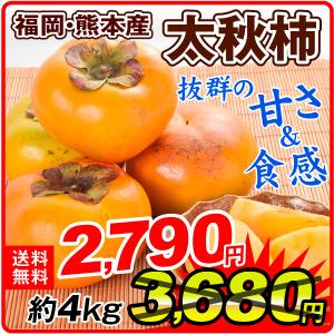 柿 大特価 熊本・福岡産 ご家庭用 太秋 約4kg 送料無料 食品