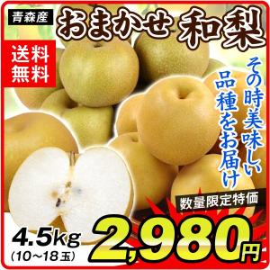 梨 青森産 ご家庭用 品種おまかせ 豊水 幸水 多摩など 約4.5kg １箱 送料無料【数量限定】 国華園