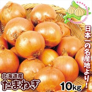 玉ねぎ 北海道産 たまねぎ 10kg  食品
