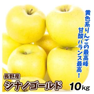 りんご 10kg 長野産 シナノゴールド ご家庭用 送料無料 食品