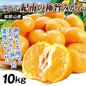 みかん 10kg 紀南の極旨みかん 和歌山産 温州 ミカン 送料無料 食品