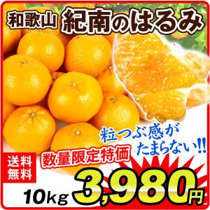みかん 和歌山産 紀南のはるみ (10kg) ご家庭用 晴見  柑橘 フルーツ 国華園
