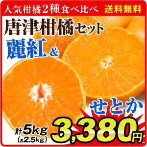 みかん 佐賀産 唐津柑橘セット せとか ＆ 麗紅（各2.5kg）ご家庭用 無選別 れいこう 食べ比べ 柑橘 フルーツ 果物 食品 国華園