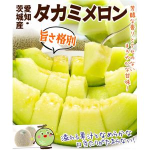 メロン 約5kg 愛知・茨城産 タカミメロン ...の詳細画像1