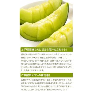 メロン 約5kg 愛知・茨城産 タカミメロン ...の詳細画像2