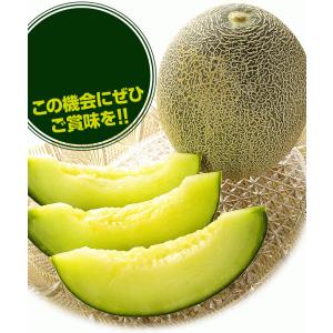 メロン 約5kg 愛知・茨城産 タカミメロン ...の詳細画像4