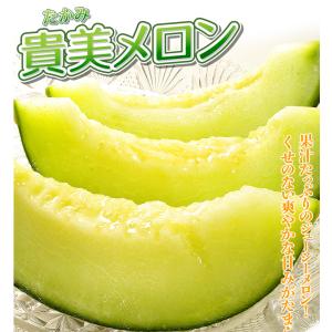 メロン 約5kg 愛知・茨城産 タカミメロン ...の詳細画像5