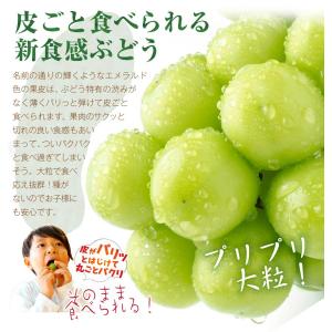 ぶどう 約1.2kg(2房) シャインマスカッ...の詳細画像4