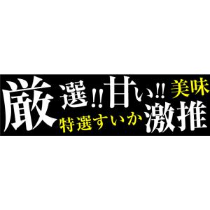 スイカ 1玉 植木のすいか 熊本産 送料無料 食品の詳細画像1