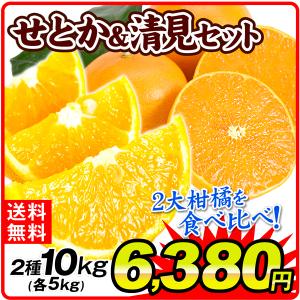 大人気柑橘！せとか＆清見セット 2種10kg（各5kg）1組 ご家庭用 送料無料 食品