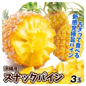 パイン 3玉 スナックパイン 沖縄産 パイナップル ボゴールパイン 送料無料 食品