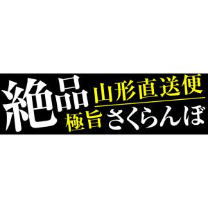 さくらんぼ 800g 佐藤錦 ご家庭用 山形産...の詳細画像1