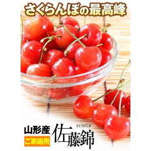 さくらんぼ 800g 佐藤錦 ご家庭用 山形産...の詳細画像3